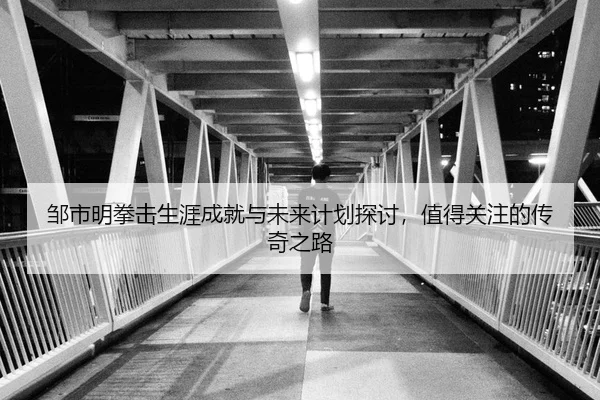 邹市明拳击生涯成就与未来计划探讨，值得关注的传奇之路